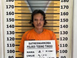 Sat Resnarkoba Polres Tebing Tinggi Tangkap Pemilik Sabu Dari Perkebunan Sawit.