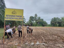 Polsek Besitang Polres Langkat Manfaatkan Lahan Kosong, Dukung Program Ketahanan Pangan