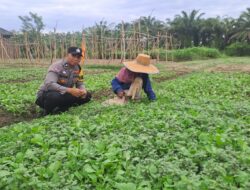 Dekat dengan Petani, Bhabinkamtibmas Polsek Stabat Dorong Ketahanan Pangan di Desa Karang Rejo