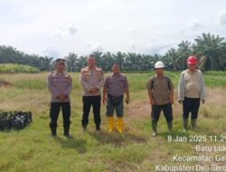Polresta Deli Serdang siap gelar Penanaman jagung serentak di 8,016 Hektar lahannya .