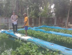 Bhabinkamtibmas Polsek Stabat Ajak Warga Desa Banyumas Manfaatkan Pekarangan untuk Ketahanan Pangan