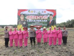 Penanaman Jagung Serentak 1 Juta Hektar: Wujud Nyata Program Ketahanan Pangan