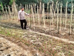 Dukung Ketahanan Pangan, Bhabinkamtibmas Polsek Stabat Sambangi Petani di Desa Sumber Mulio