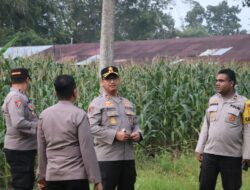 Dukung Program Asta Cita Prabowo, Kapolres Langkat Tinjau Lahan Jagung di Asrama Polres!