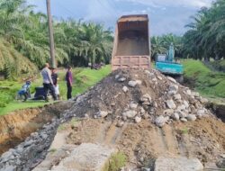 Akses Vital Terputus! Polsek Bahorok Bergerak Cepat Pastikan Perbaikan Jalan Amblas di Bukit Lawang