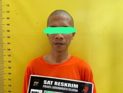 Polres Labusel Ungkap Kasus Pria Beristri Cabuli Tiga Gadis di Bawah Umur, Satu Korban Hamil