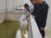 Dukung Program Ketahanan Pangan, Rutan Tarutung Tabur 2.000 Benih Ikan Nila