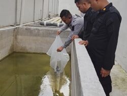 Dukung Program Ketahanan Pangan, Rutan Tarutung Tabur 2.000 Benih Ikan Nila