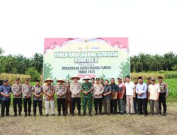 Swasembada Pangan Kapolres Binjai Panen Raya Kuartal II di Desa Padang Cermin