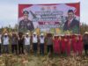 Polres Langkat Gelar Panen Raya Jagung Dukung Ketahanan Pangan Nasional, Sambut Hari Bhayangkara ke-79