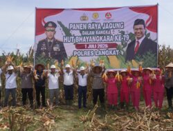 Polres Langkat Gelar Panen Raya Jagung Dukung Ketahanan Pangan Nasional, Sambut Hari Bhayangkara ke-79