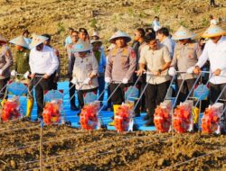 Tanam Jagung Serentak, Jenderal Sigit: Polri Siap Kawal Kedaulatan Pangan!