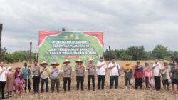 Polres Binjai Bersama Masyarakat Payaroba Melaksanakan Penanaman Jagung