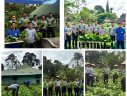 Rutan Tarutung Berhasil Panen 40 kg Sayuran Pakcoy, Karutan : “Bukti Pembinaan Kemandirian Berjalan Baik”