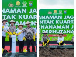 Kapolres Langkat laksanakan Penanaman Jagung Kuartal III di lahan Bhayangkara.