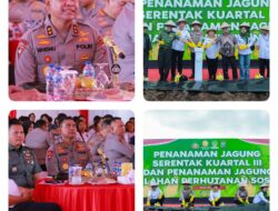 Polda Sumut Tanam Jagung Serentak, Targetkan 24 Ribu Ton Demi Swasembada Pangan 2025