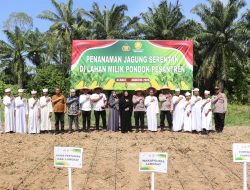 Dukung Program Ketahanan Pangan Nasional, Polres Langkat Lakukan Penanaman Jagung Serentak