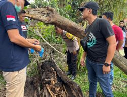 Warga Temukan Kerangka Manusia di Pohon, Polisi Polsek Firdaus Gerak Cepat Lakukan Cek Oleh TKP dan Identifikasi Korban