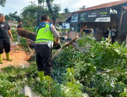 Apresiasi Masyarakat, Tindakan Polres Sergai Gerak Cepat Jaga Situasi Lalu Lintas Bersihkan Pohon Tumbang