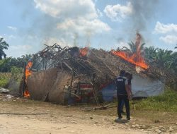 Barak Narkoba di Binjai Selatan Kembali Digrebek Dan Dimusnahkan Polres Binjai