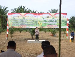 Polres Langkat Dukung Ketahanan Pangan: Kapolres Langkat Hadiri Penanaman Jagung Serentak di Padang Tualang
