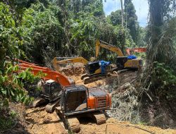 Gabungan Brimob dan Ditreskrimsus Polda Sumut Tindak Tambang Emas Ilegal di Perbatasan Tapsel–Madina, 14 Ekskavator Diamankan