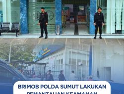 Brimob Polda Sumut Lakukan Pemantauan Keamanan di Terminal Amplas