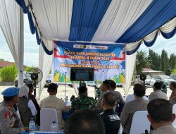Sinergi Jaga Pangan, Polres Sergai Gelar Panen Raya Jagung dan Sukseskan Program Ketahanan Pangan Polri