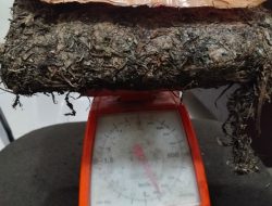 Pria 53 Tahun di Padangsidimpuan Ditangkap Saat Bawa 900 Gram Ganja di Jalinsum