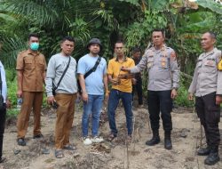Temukan Tanaman Ganja, Polsek Tanjung Morawa Polresta Deli Serdang Amankan Pelaku