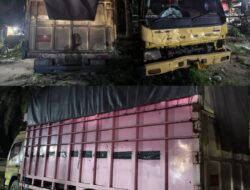 Laka Lantas “Laga Kambing” di Jalinsum Sei Bamban, Pengendara Motor Alami Patah Tulang
