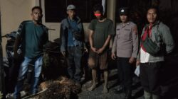 Diduga Curi Empat Tandan Sawit Milik Perusahaan, Seorang Pemuda Diamankan di Pinangsori