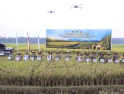 Dukung Ketahanan Pangan Nasional, Kapolres Langkat Bersama Jajaran TNI dan Forkopimda Hadiri Panen Raya Virtual di Sirapit