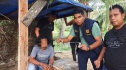 GerCep! Sat Narkoba Polres Langkat Grebek Sarang Narkoba, Hingga Bakar Gubuk dan Ciduk Satu Tersangka