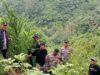 Respon Cepat Polres Langkat Ungkap Ladang Ganja di Kuala, 11 Batang Diamankan