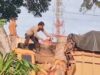 Pohon Tumbang Timpa Truk di Desa Pematang tengah, Polisi Bergerak Cepat Evakuasi Lokasi