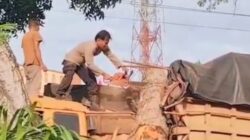 Pohon Tumbang Timpa Truk di Desa Pematang tengah, Polisi Bergerak Cepat Evakuasi Lokasi