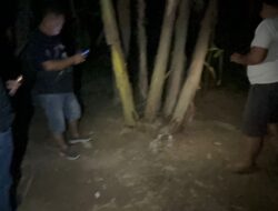 Respon Laporan Warga Polres Langkat Musnahkan Gubuk Penyalahgunaan Narkoba